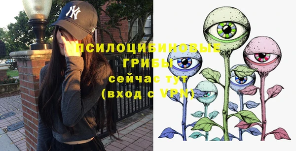 прущая мука Инсар