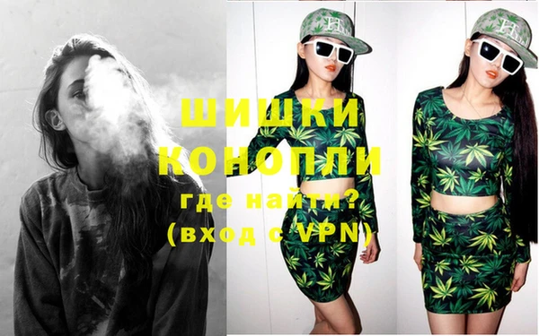 прущая мука Инсар