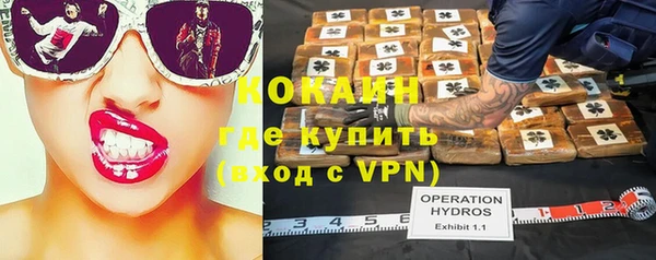 прущая мука Инсар