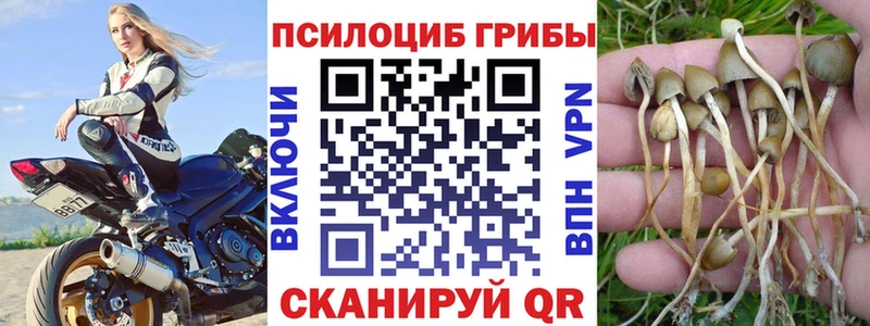 Купить  Кисловодск  Псилоцибиновые грибы мухоморы 
